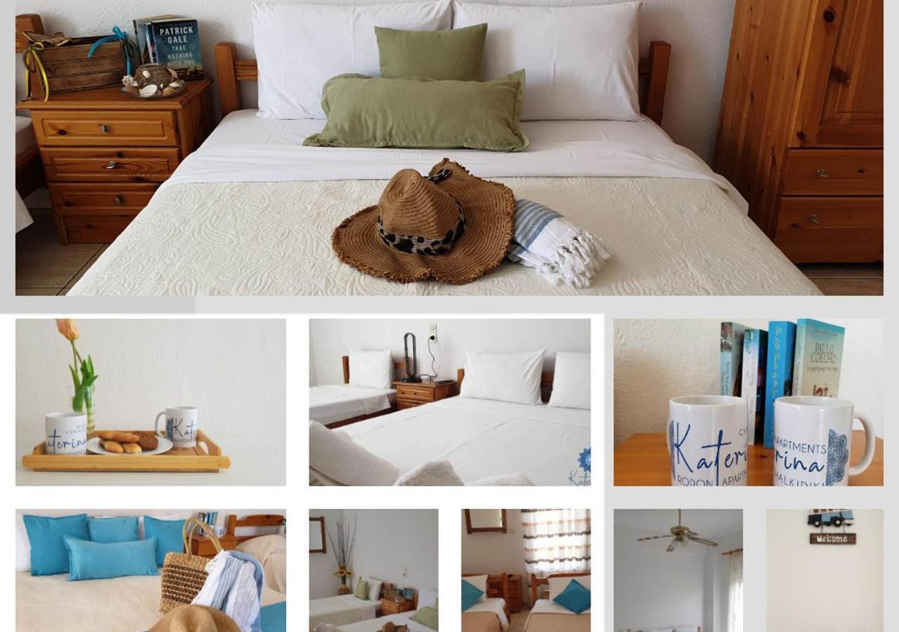 Katerina Rodon Apartments Nea Roda Dış mekan fotoğraf